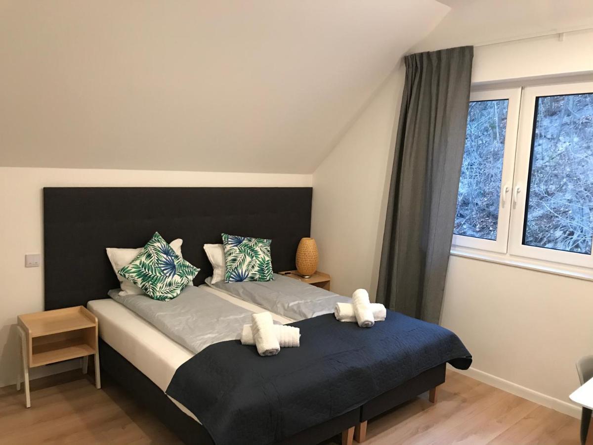Apartamenty Pod Zamkiem W Janowcu Janowiec Kültér fotó
